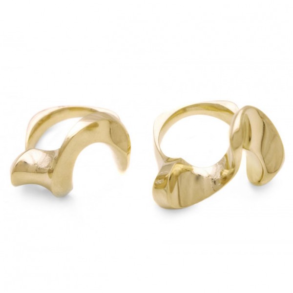 samensmelting 2 ringen