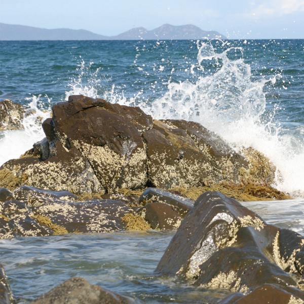 water-rotsen
